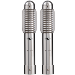Warm Audio Fen-tone stereo ribbon microphones shown in a front view, highlighting the dual microphone design for high-quality audio recording.